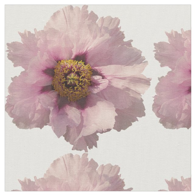 Tecido Cor-de-rosa (Detalhe)