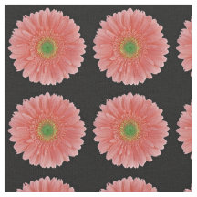 Tecido coral da margarida do Gerbera do pêssego