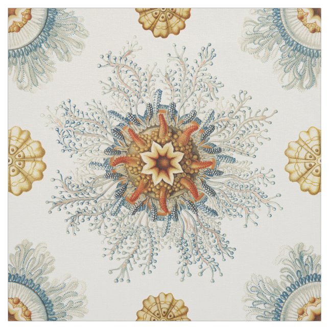 Tecido Coral Mandala (Modelo)