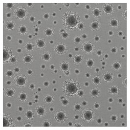 Tecido Coronavírus - Cinzas