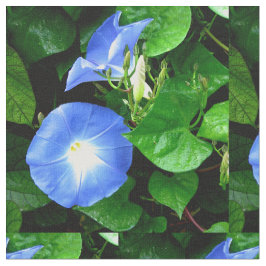 Tecido Corriola azul celestial