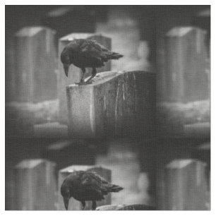 Tecido Crow do Cemitério de Queda