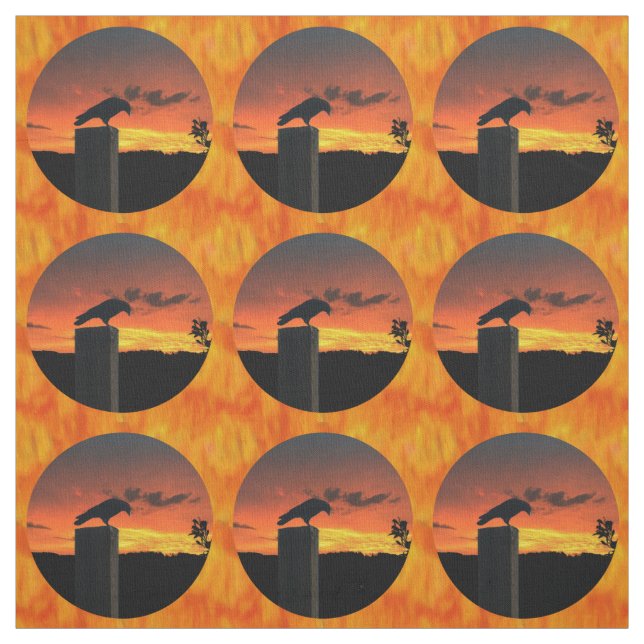 Tecido Crow no Sunset v1 (Modelo)