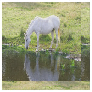 Tecido da água potável do cavalo branco