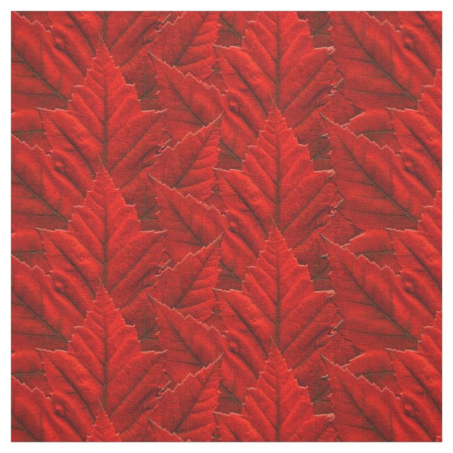 Tecido da bandeira do tecido da folha de bordo de (Modelo)