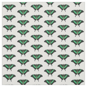 Tecido da Borboleta do Swallowtail Emerald