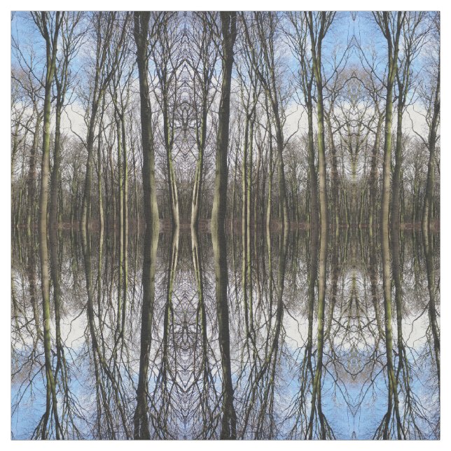 Tecido da foto da floresta do inverno (Modelo)