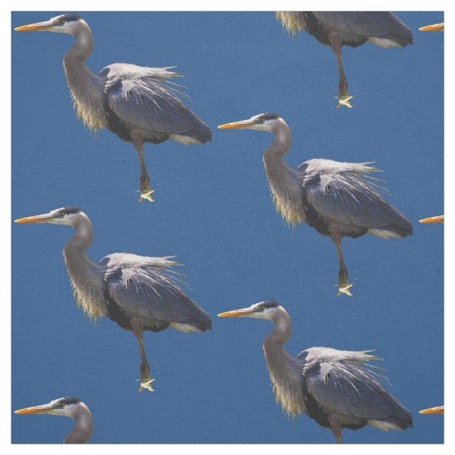 Tecido da garça-real de grande azul (Modelo)