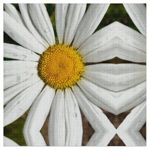 Tecido Daisy Dew