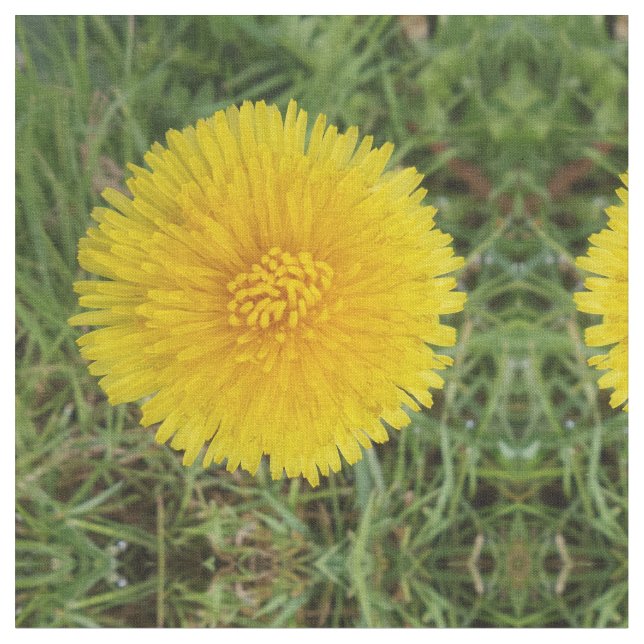 Tecido Dandelion (Detalhe)