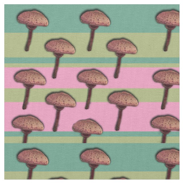 Tecido de Algodão Combado Personalizado de Cogumel (Detalhe)