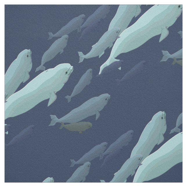 Tecido de baleia Beluga Tecido de baleia Algodão o (Modelo)