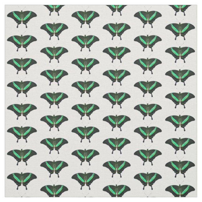 Tecido de Borboleta Andorinha Esmeralda (Modelo)