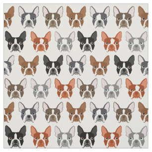 Tecido de Boston Terrier
