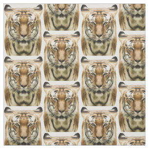 Tecido de Fechamento do Tigre