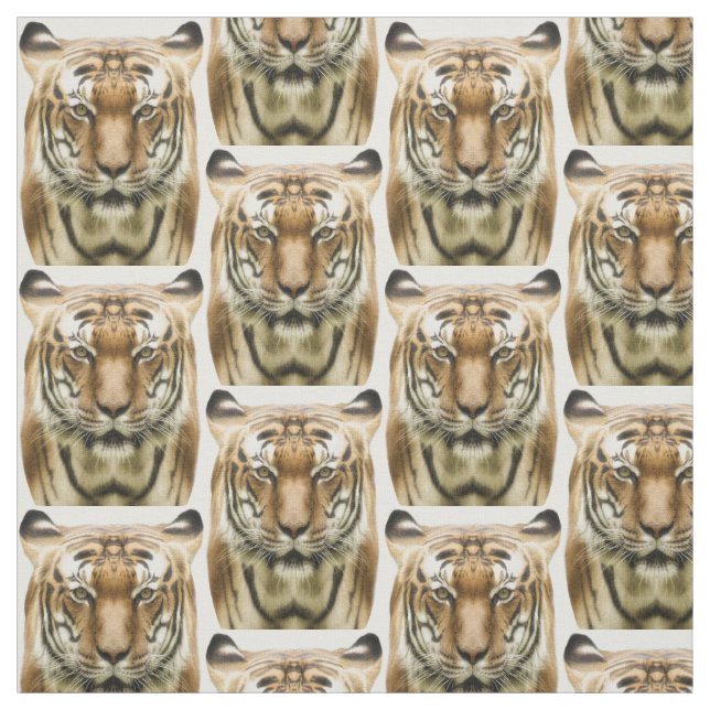 Tecido de Fechamento do Tigre (Modelo)