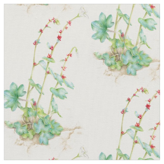 tecido de flores de aquarela de saxifraga alpina (Detalhe)