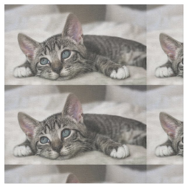 Tecido de gato! (Detalhe)