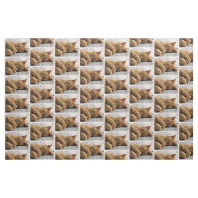 Tecido de Gato Dormindo (Fat Quarter)