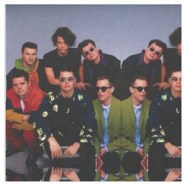 Tecido de INXS (Detalhe)