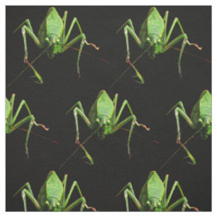 Tecido de Katydid