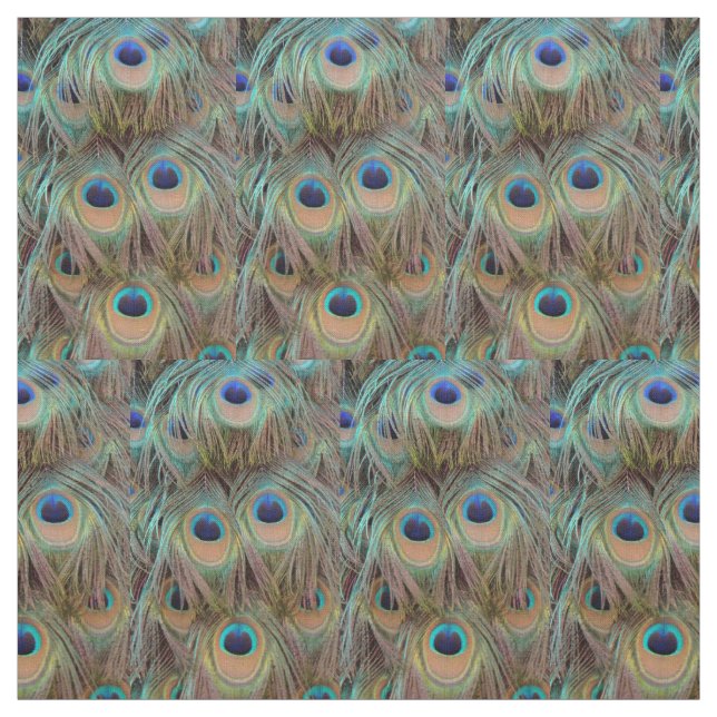 Tecido de Penas da Cauda Peacock (Modelo)