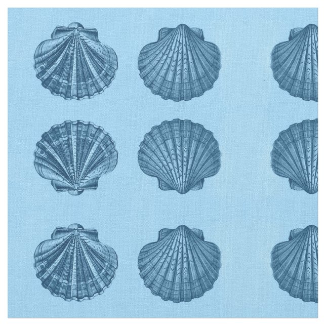 Tecido de Shell do mar (Detalhe)