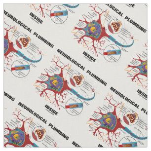 Tecido Dentro Neuron Synapse Humor