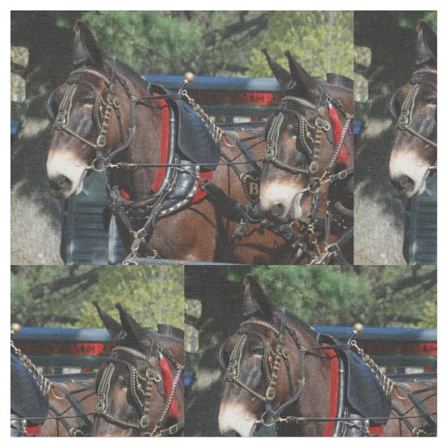 Tecido dias da mula (Detalhe)