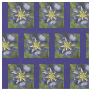 Tecido do Bluebonnet de Texas