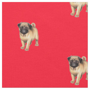 Tecido do cão de filhote de cachorro do Pug