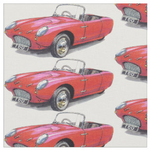 tecido do carro de Berkeley T60 do vintage