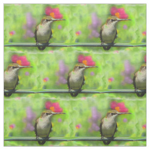 Tecido do colibri