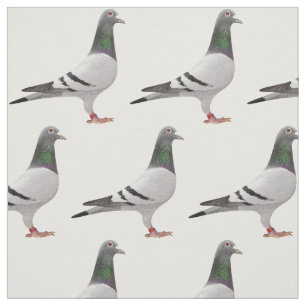 tecido do design do pombo