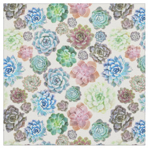 Tecido do design dos Succulents