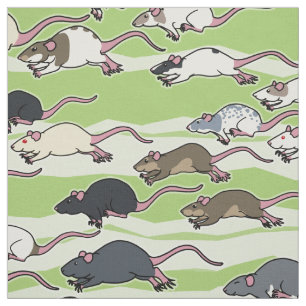 Tecido do teste padrão do funcionamento do rato