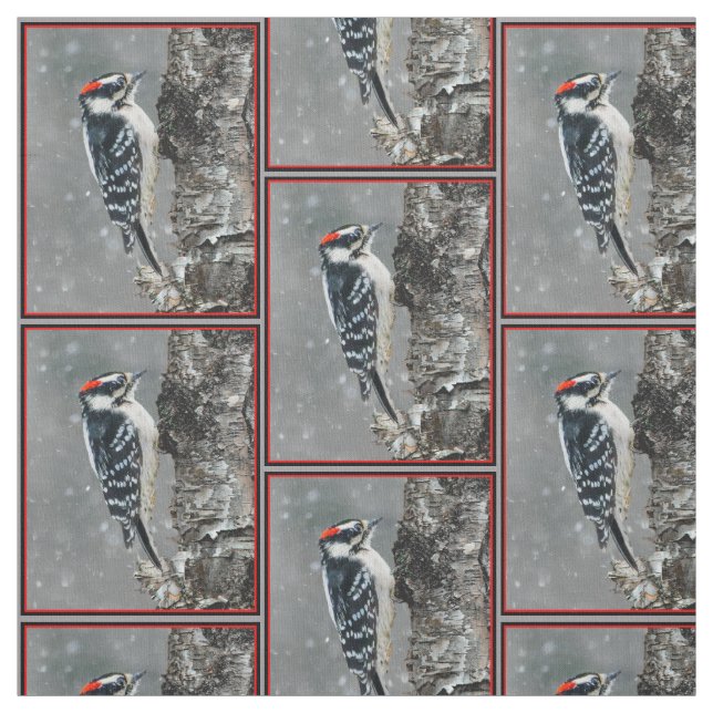 Tecido Downy Woodpecker em Neve - Foto Original (Modelo)