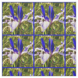 Tecido Elkhorn Mountain Iris
