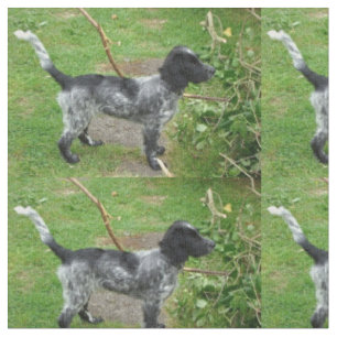Tecido english_cocker_spaniel roan preto full.png