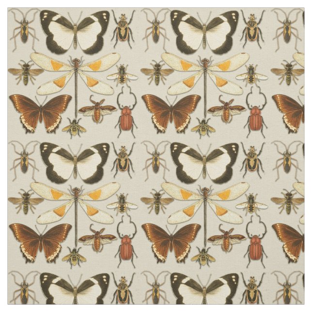 Tecido Entomologia Borboleta Insetos Ilustrações de Vinta (Modelo)