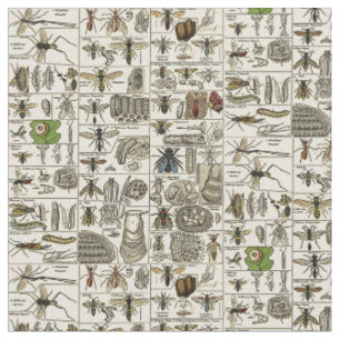 Tecido Entomologia do vintage