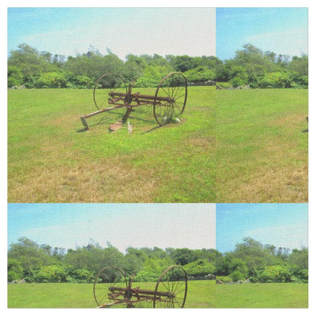 Tecido Equipamento de Fazenda antigo enferrujado (Detalhe)