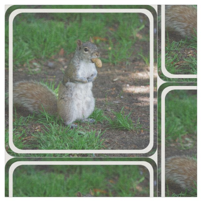 Tecido Esquilo parvo (Detalhe)