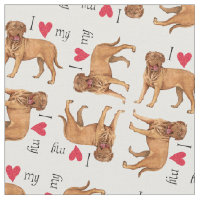 Eu amo o meu Dogue de Bordeaux