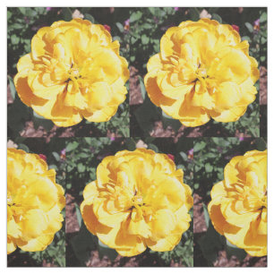 Tecido Falln Sunshine Floral
