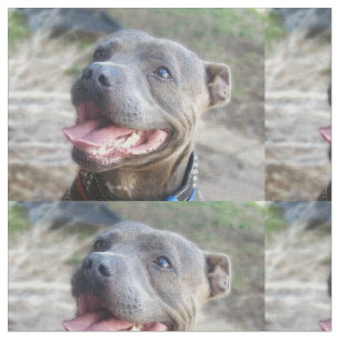 Tecido Feliz Staffordshire Bull Terrier,