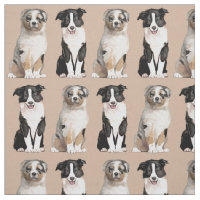 Filhote de cachorro australiano e border collie do
