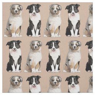 Tecido Filhote de cachorro australiano e border collie do