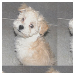 Tecido Filhote de cachorro do salvamento de Havanese
