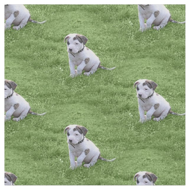 Tecido Filhote de cachorro do T-Osso do pitbull (Detalhe)